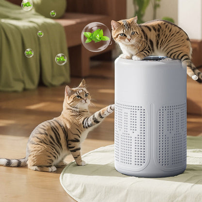 PurAir™ - Purificateur d'Air Portable Intelligent